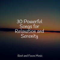 Anxiety Relief, Massage Music, Meditation Zen - 30 Powerful Songs for Relaxation and Serenity