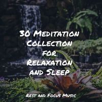Oasis de Détente et Relaxation, Soothing Chill Out for Insomnia, Binaural Beats - 30 Meditation Collection for Relaxation and Sleep