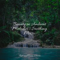 Monarch Baby Lullaby Institute, Sleep Waves, Mindfulness Meditation World - Beauty in Ambient Melodies | Soothing Music