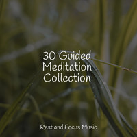Sounds of Nature White Noise Sound Effects, Sleepy Times, Sounds of Nature White Noise for Mindfulness Meditation and Relaxation - 30 Guided Meditation Collection