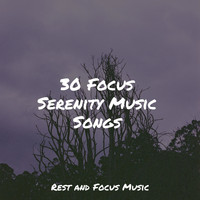 Deep Sleep Meditation, Massage, Tinnitus Aid - 30 Focus Serenity Music Songs