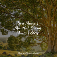 Sleeping Music, Academia de Música para Massagem Relaxamento, Calm shores - Spa Music | Mindful Living Music | Sleep