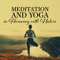 Healing Yoga Meditation Music Consort - Meditation and Yoga in Harmony with Nature: Music and Relaxing Sounds of Nature for Meditation and Yoga Asanas