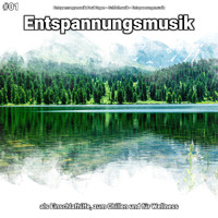 Entspannungsmusik Paul Esgen & Schlafmusik & Entspannungsmusik - #01 Entspannungsmusik als Einschlafhilfe, zum Chillen und für Wellness