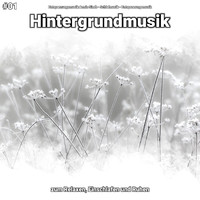 Entspannungsmusik Armin Sindt & Schlafmusik & Entspannungsmusik - #01 Hintergrundmusik zum Relaxen, Einschlafen und Ruhen
