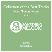 Shawn Forrest - Collection of the Best Tracks From: Shawn Forrest, Pt. 3