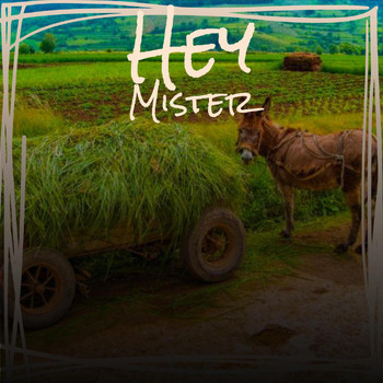 Various Artist - Hey Mister