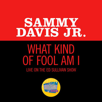 Sammy Davis Jr. - What Kind Of Fool Am I (Live On The Ed Sullivan Show, June 14, 1964)