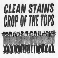 Clean Stains - Crop of the Tops