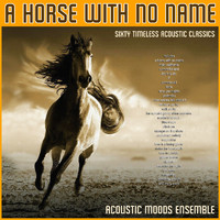 Acoustic Moods Ensemble - A Horse With No Name