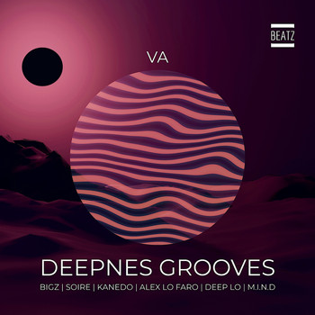 Various Artists - Deepness Grooves
