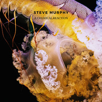 Steve Murphy - A Chemical Reaction