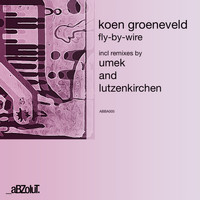 Koen Groeneveld - Fly-By-Wire