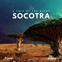 Pando G - Socotra