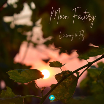 Moon Factory - Learning To Fly