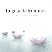 Lugn Musik Atmosfär - Lugnande trummor för zen meditation: Djup avslappningsmusik för positiva vibbar och stresslindring