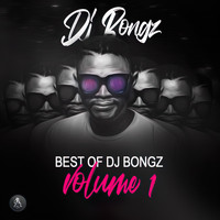 DJ Bongz - Best of DJ Bongz, Vol. 1