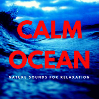 Nature Sound Emporium - Calm Ocean
