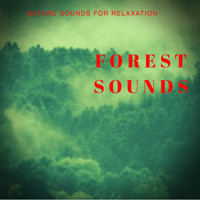 Nature Sound Emporium - Forest Sounds