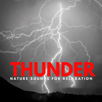 Nature Sound Emporium - Thunder