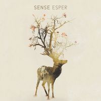 Sense - Esper