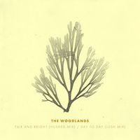The Woodlands - Fair and Bright (Hushed Mix) / Day to Day (Lush Mix)