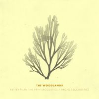 The Woodlands - Better Than the Pain / Bronze (Acoustic)