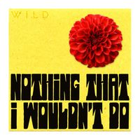 Wild - Nothing That I Wouldn't Do