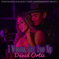 David Ortiz - I Wanna Sex You Up