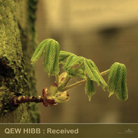 Qew Hibb - Received