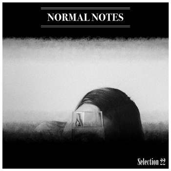 Various Artists - Normal Notes Selection 22