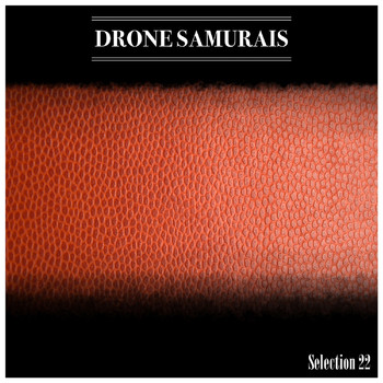 Various Artists - Drone Samurais Selection 22