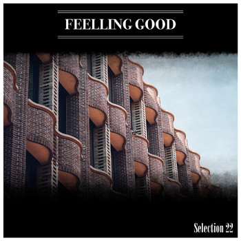 Various Artists - Feelling Good Selection 22