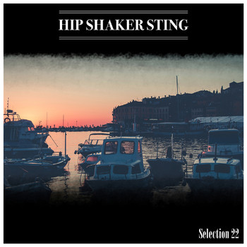 Various Artists - Hip Shaker Sting Selection 22