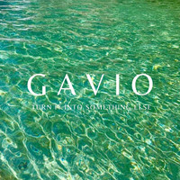 Gavio - Turn It Into Something Else