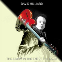 David Hilliard - The Storm in the Eye of the Calm