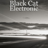 Black Cat - Electronic