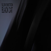 Black Cat - Slow Emotion