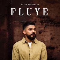 David Maldonado - Fluye