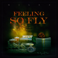 MileZ - Feeling so Fly