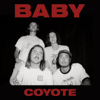 Baby - Coyote