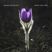 Miguel de Balasat - Ebony and Ivory