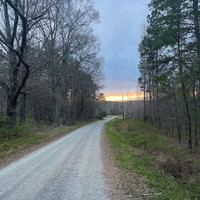 Catfish - Creek Side