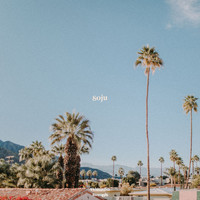 Shiro - soju