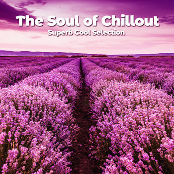 Various Artists - The Soul of Chillout (Superb Cool Selection)