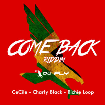 DJ Fly - Come Back Riddim (Explicit)