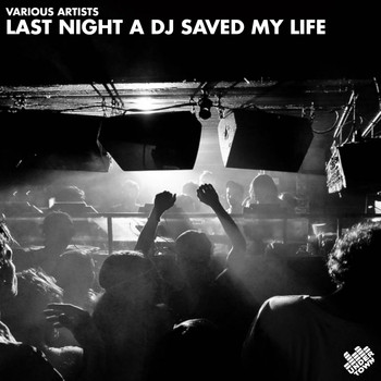 Various Artists - Last Night A DJ Saved My Life
