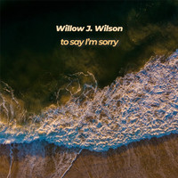 Willow J. Wilson - To Say I’m Sorry