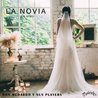 Don Medardo y Sus Players - La Novia (En Vivo)