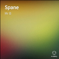 Mr B - Spane (Explicit)